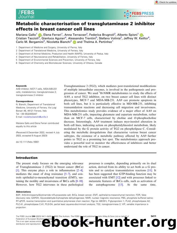 Metabolic characterisation of transglutaminase 2 inhibitor effects in breast cancer cell lines by Unknown