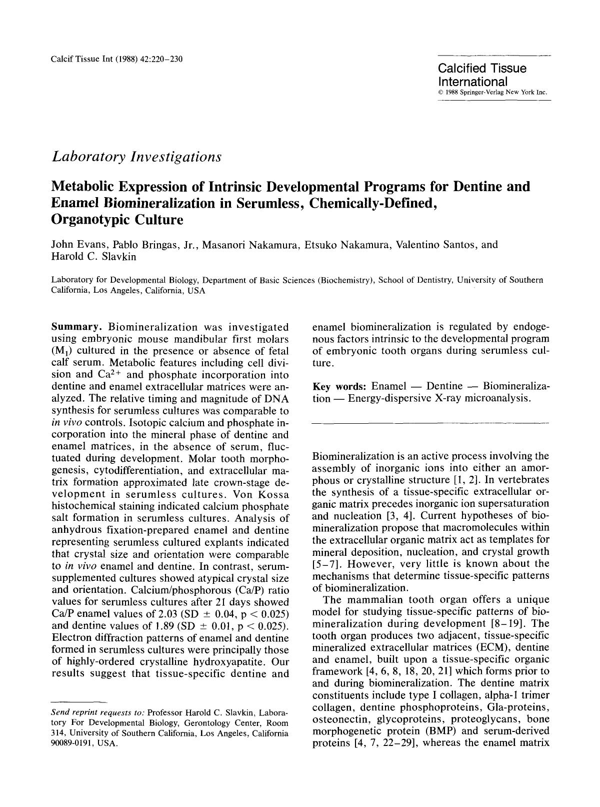 Metabolic expression of intrinsic developmental programs for dentine and enamel biomineralization in serumless, chemically-defined, organotypic culture by Unknown