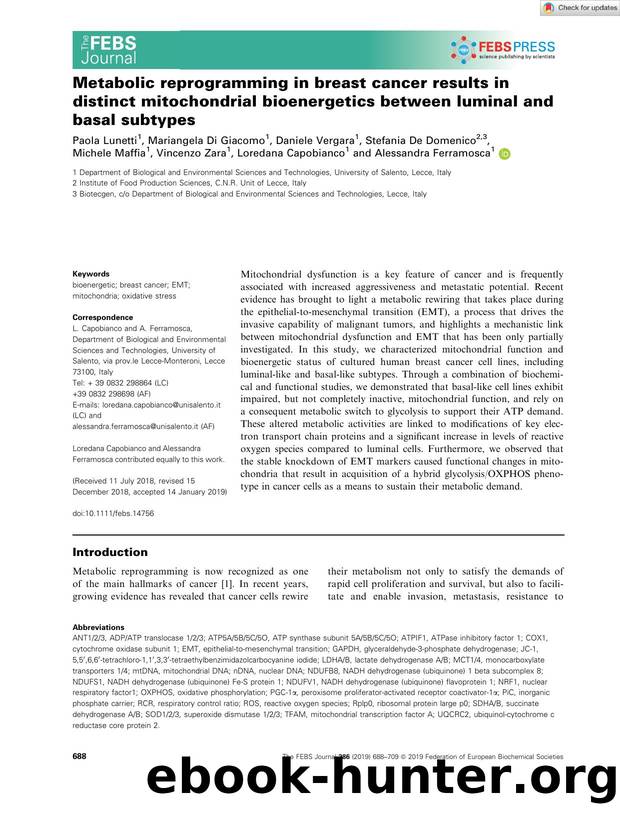 Metabolic reprogramming in breast cancer results in distinct mitochondrial bioenergetics between luminal and basal subtypes by Unknown
