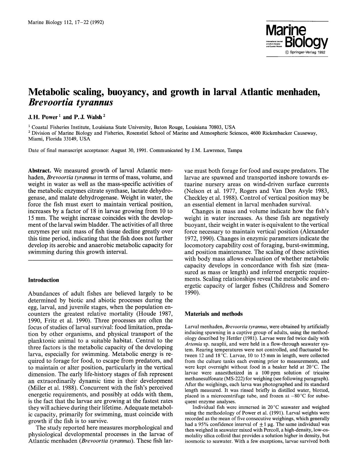 Metabolic scaling, buoyancy, and growth in larval Atlantic menhaden, <Emphasis Type="Italic">Brevoortia tyrannus<Emphasis> by Unknown