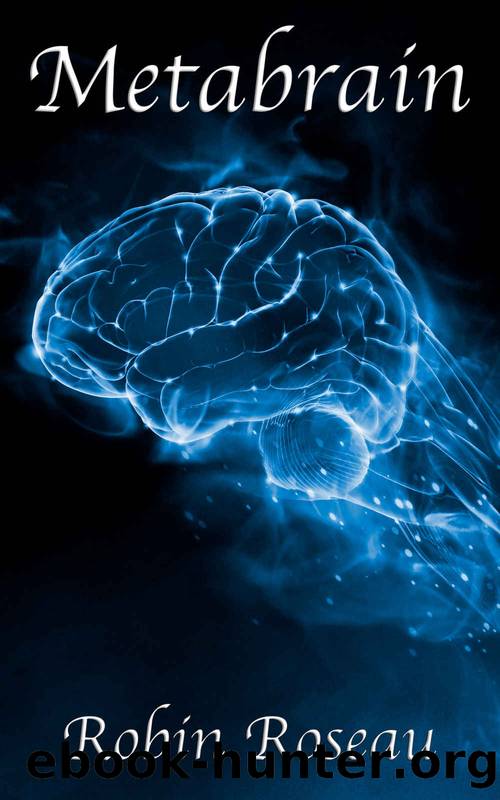 Metabrain by Robin Roseau