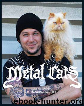 Metal Cats by Alexandra Crockett
