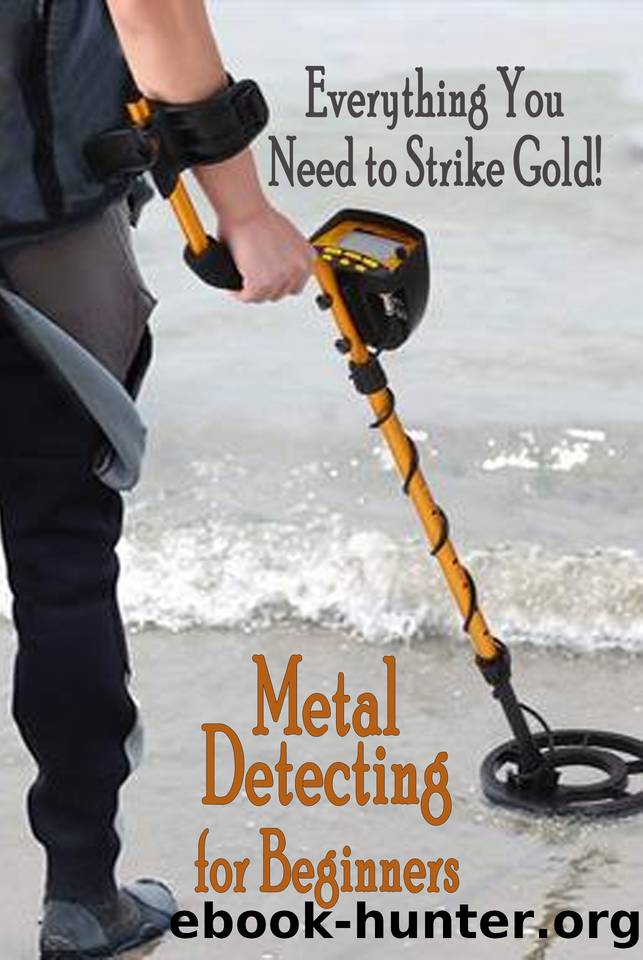 Metal Detecting for Beginners: Everthing You Need to Strike Gold!: Dectecting Bible by Leeanne Reindl