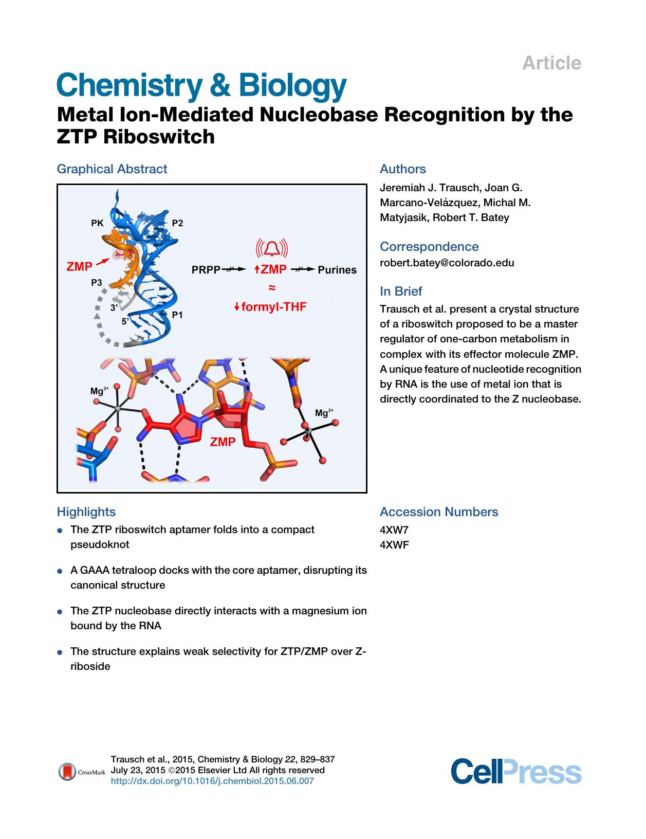 Metal Ion-Mediated Nucleobase Recognition by the ZTP Riboswitch by Jeremiah J. Trausch & Joan G. Marcano-Velázquez & Michal M. Matyjasik & Robert T. Batey
