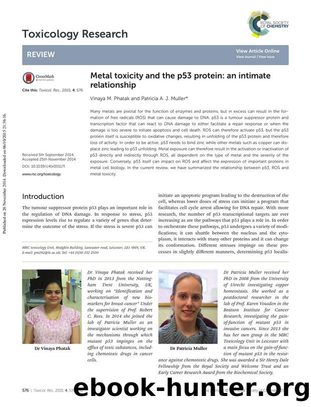 Metal toxicity and the p53 protein: an intimate relationship by Vinaya M. Phatak Patricia A. J. Muller