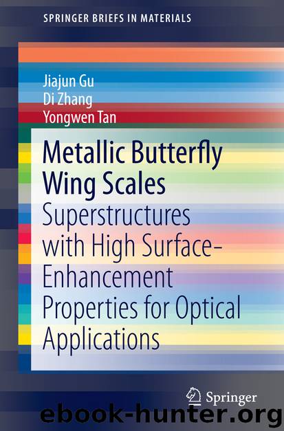 Metallic Butterfly Wing Scales by Jiajun Gu Di Zhang & Yongwen Tan