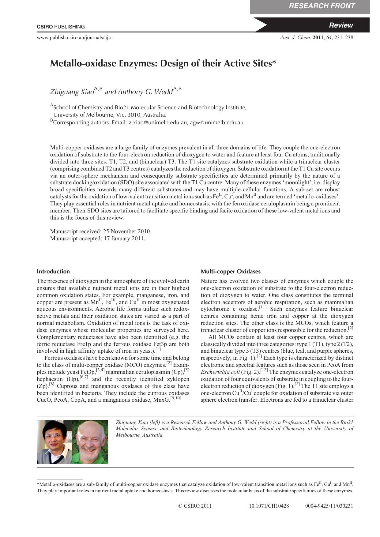 Metallo-oxidase Enzymes: Design of their Active Sites* by Z. Xiao and A. G. Wedd