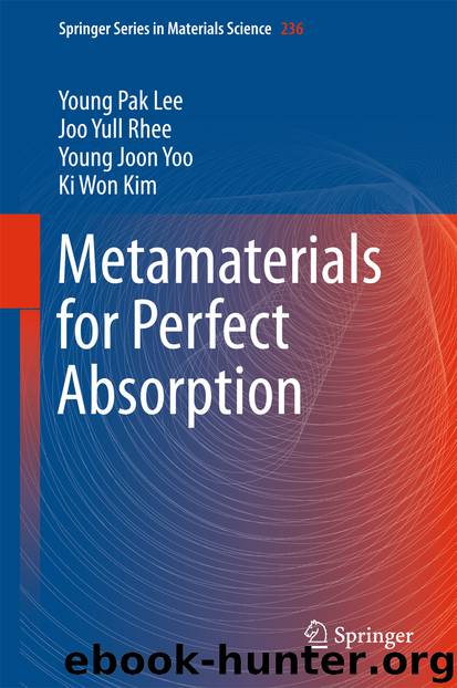 Metamaterials for Perfect Absorption by Young Pak Lee Joo Yull Rhee Young Joon Yoo & Ki Won Kim