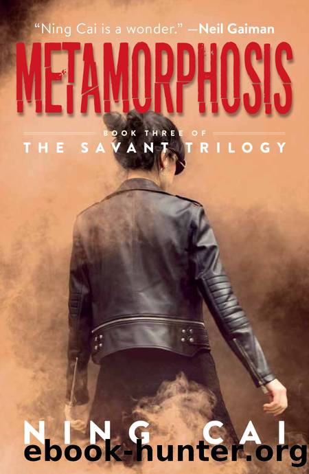 Metamorphosis by Ning Cai