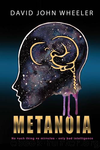 Metanoia: No Such Thing as a Miracle--Only Bad Intelligence by David John Wheeler
