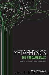 Metaphysics-The Fundamentals by Robert C. Koons