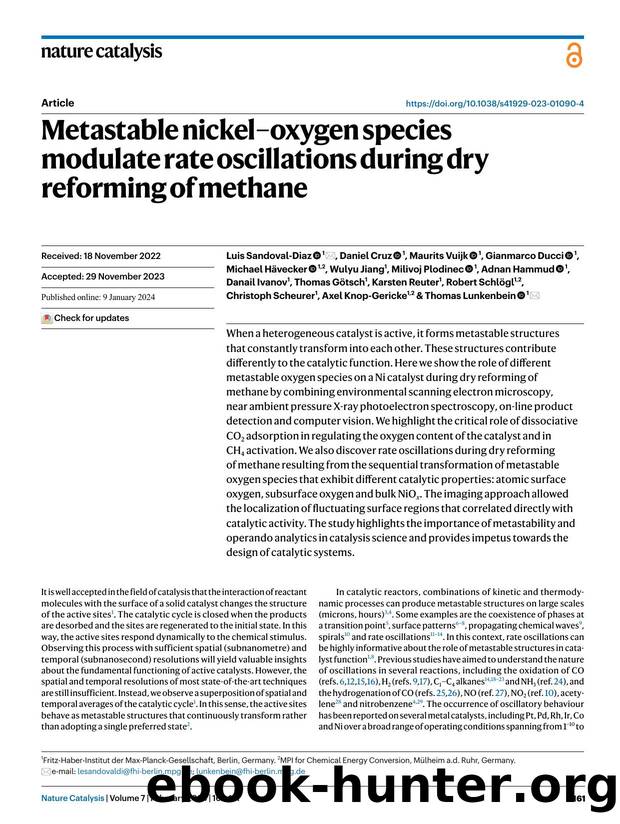 Metastable nickelâoxygen species modulate rate oscillations during dry reforming of methane by unknow
