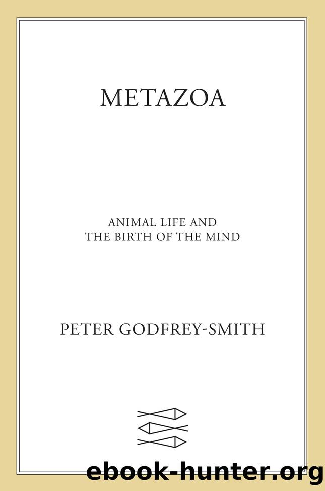 Metazoa by Peter Godfrey-Smith