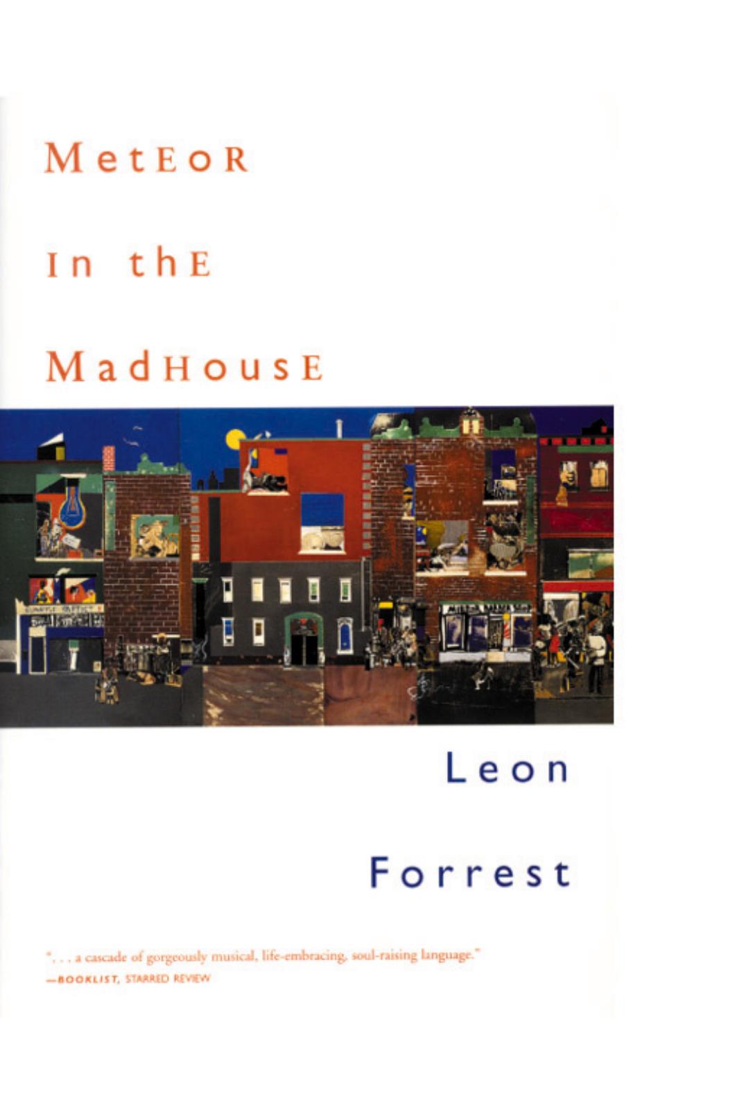 Meteor in the Madhouse by Forrest Leon/ Forrest Marianne (Frw)/ Cawelti John G. (Edt)/ Drown Merle (Edt)