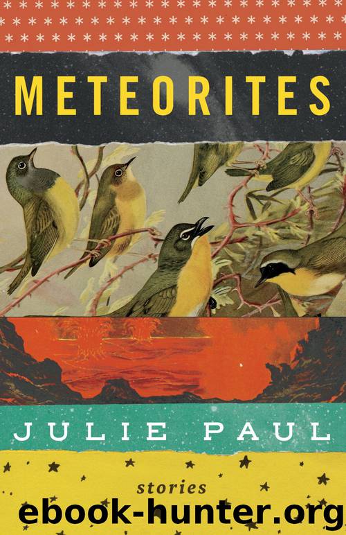 Meteorites by Julie Paul