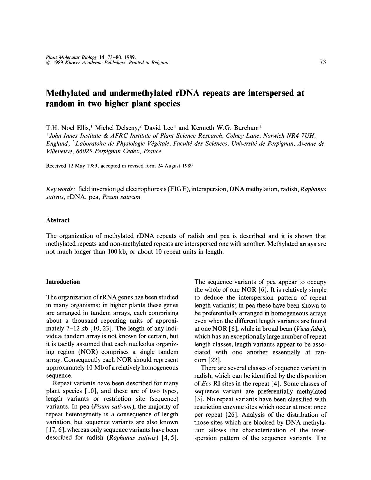 Methylated and undermethylated rDNA repeats are interspersed at random in two higher plant species by Unknown