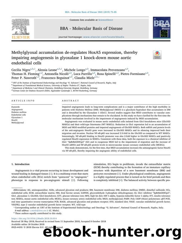 Methylglyoxal accumulation de-regulates HoxA5 expression, thereby impairing angiogenesis in glyoxalase 1 knock-down mouse aortic endothelial cells by unknow