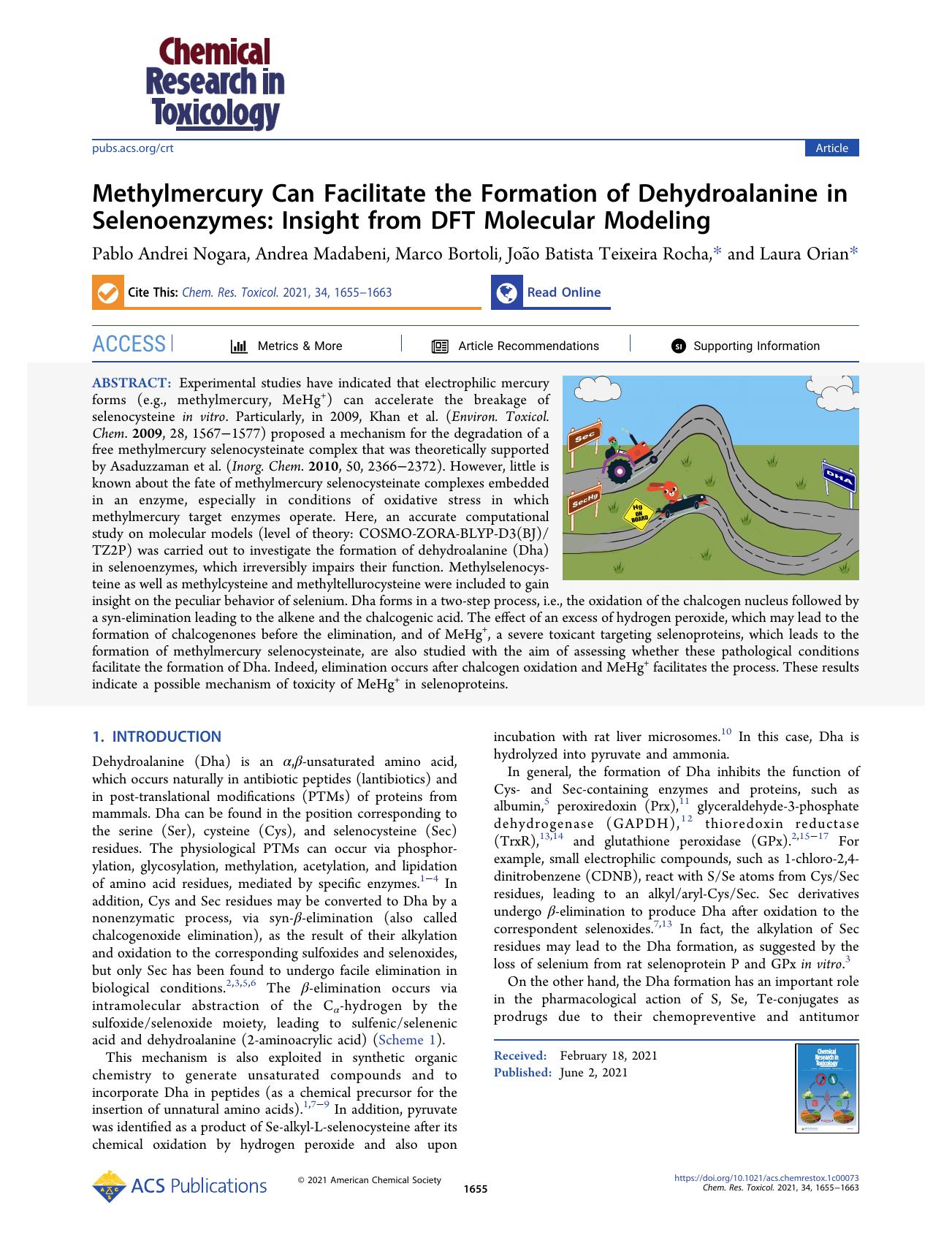 Methylmercury Can Facilitate the Formation of Dehydroalanine in Selenoenzymes: Insight from DFT Molecular Modeling by Pablo Andrei Nogara Andrea Madabeni Marco Bortoli João Batista Teixeira Rocha and Laura Orian