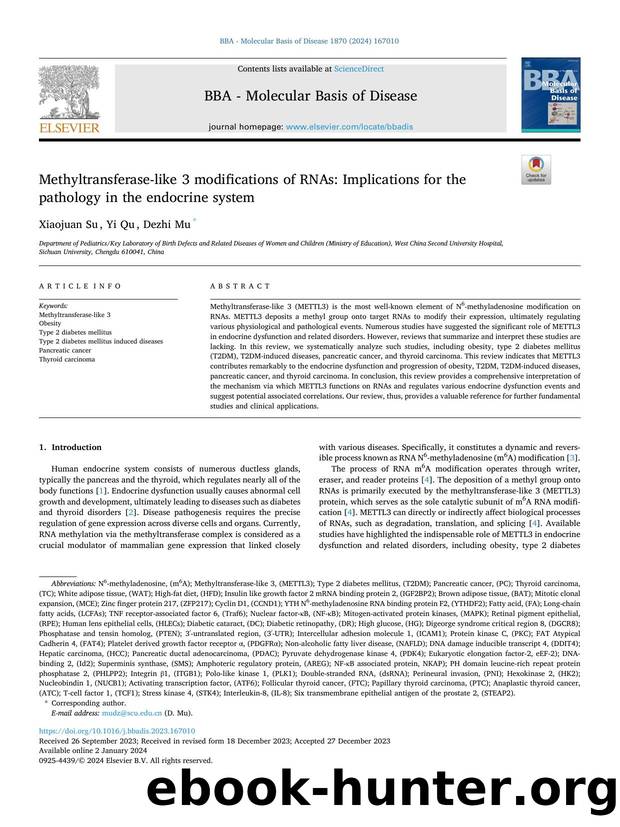 Methyltransferase-like 3 modifications of RNAs: Implications for the pathology in the endocrine system by Xiaojuan Su & Yi Qu & Dezhi Mu
