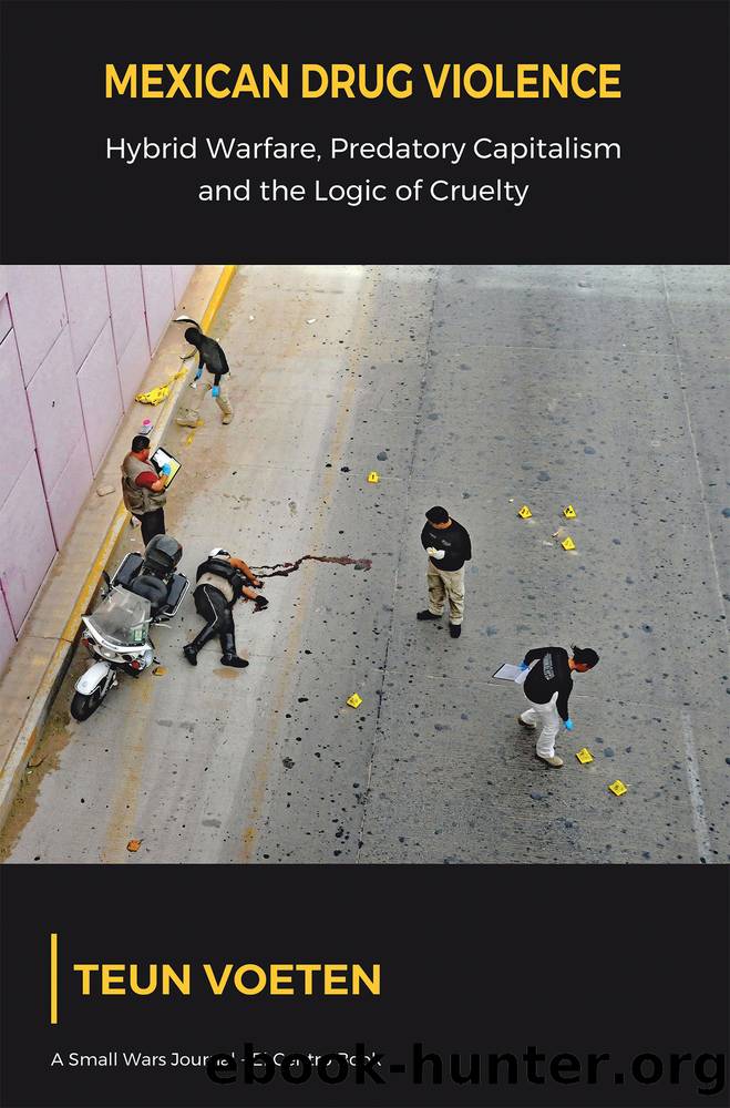 Mexican Drug Violence by Teun Voeten