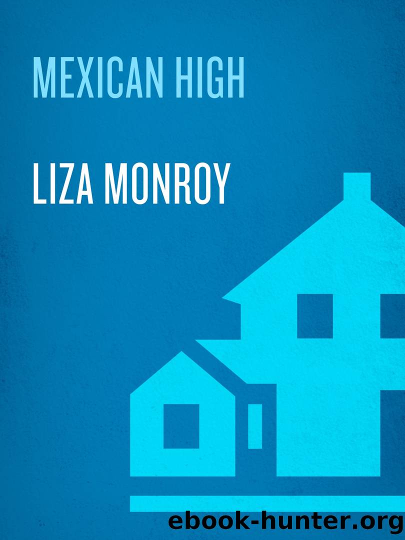 Mexican High by Liza Monroy
