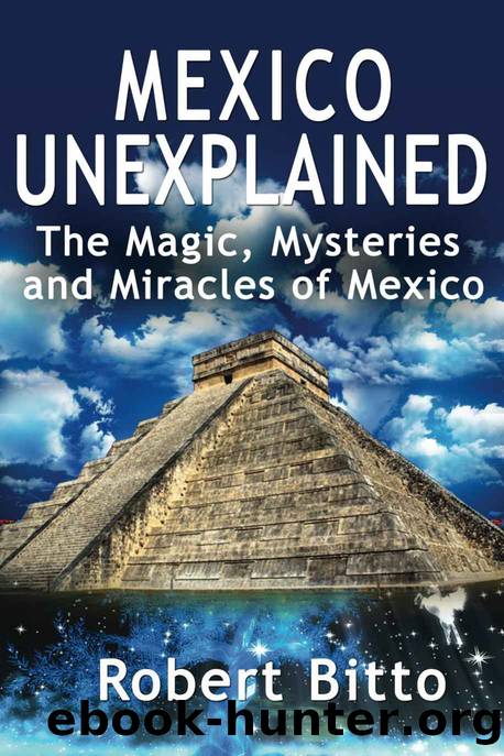 Mexico Unexplained by Robert Bitto