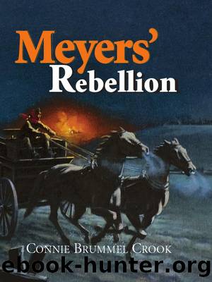 Meyers' Rebellion by Connie Brummel Crook