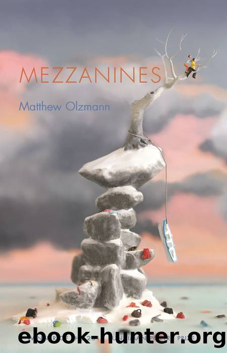 Mezzanines by Matthew Olzmann
