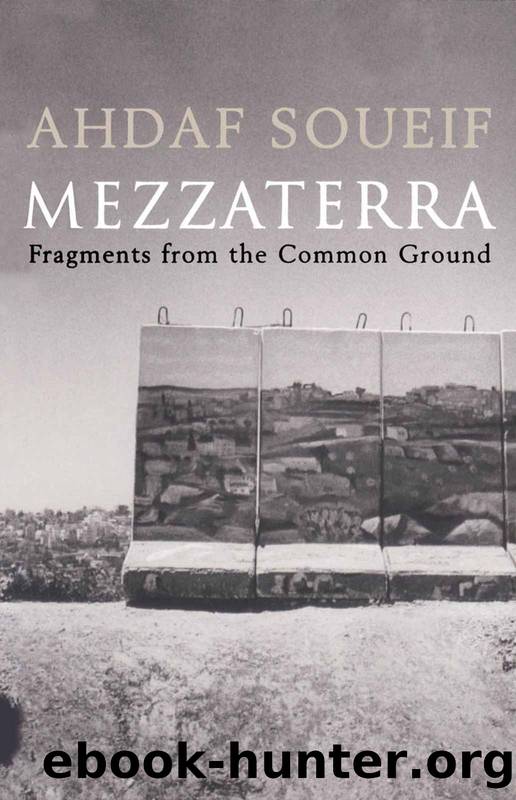 Mezzaterra by Ahdaf Soueif