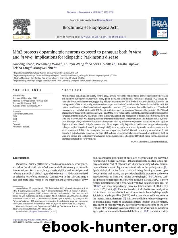 Mfn2 protects dopaminergic neurons exposed to paraquat both in vitro and in vivo: Implications for idiopathic Parkinson's disease by unknow