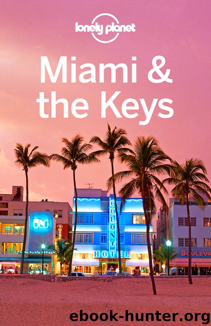 Miami & the Keys Travel Guide by Lonely Planet
