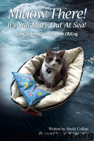 Miaow There! It's Still Misty Out At Sea! by Sheila Collins