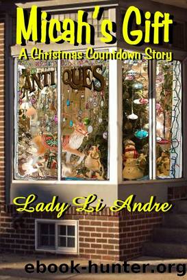 Micah's Gift - A Christmas Countdown Story by Lady Li Andre