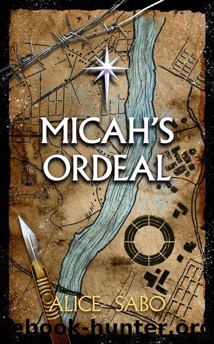 Micah's Ordeal by Alice Sabo