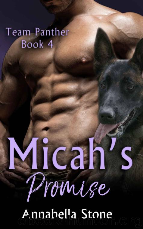 Micah's Promise (Delta Force - Team Panther Book 4) by Annabella Stone