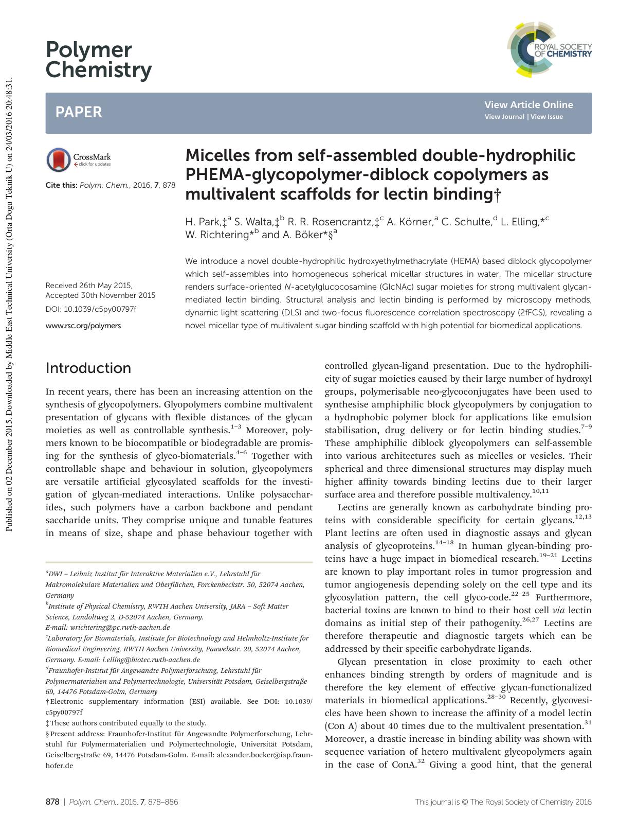 Micelles from self-assembled double-hydrophilic PHEMA-glycopolymer-diblock copolymers as multivalent scaffolds for lectin binding by H. Park S. Walta R. R. Rosencrantz A. Körner C. Schulte L. Elling W. Richtering A. Böker