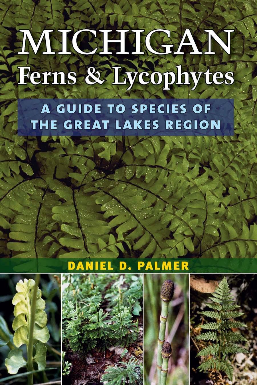 Michigan Ferns and Lycophytes: A Guide to Species of the Great Lakes Region by Daniel D. Palmer