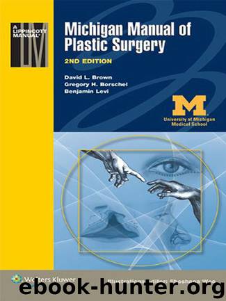 Michigan Manual of Plastic Surgery (Lippincott Manual Series) by Brown David L. & Borschel Gregory H. & Levi Benjamin