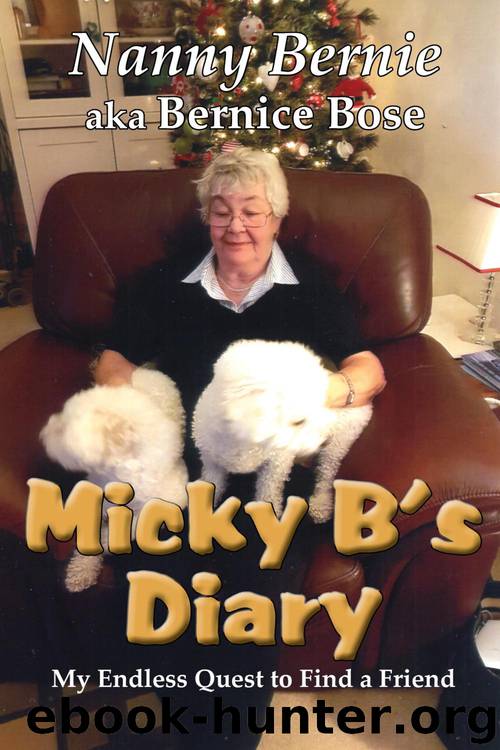 Micky B's Diary by Bernice Bose