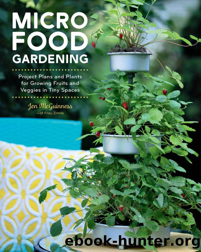 Micro Food Gardening by Jennifer McGuinness