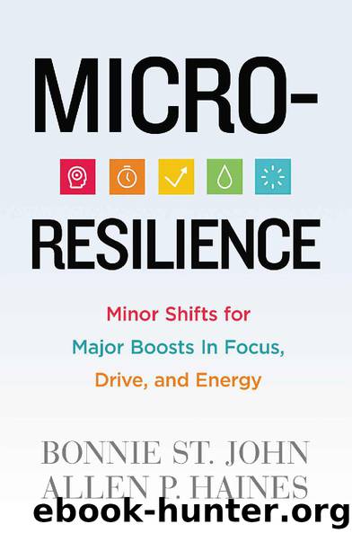 Micro-Resilience: Minor Shifts for Major Boosts in Focus, Drive, and Energy by Bonnie St. John