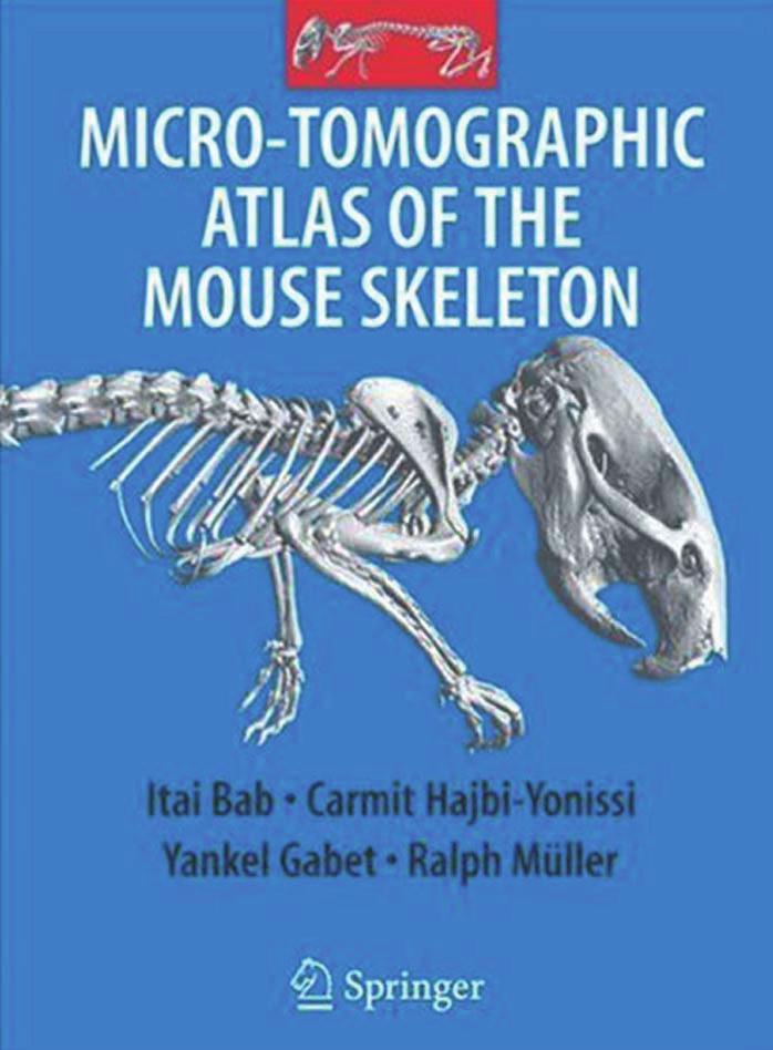 Micro-Tomographic Atlas of the Mouse Skeleton by Itai Bab Carmit Hajbi-Yonissi Yankel Gabet Ralph Müller