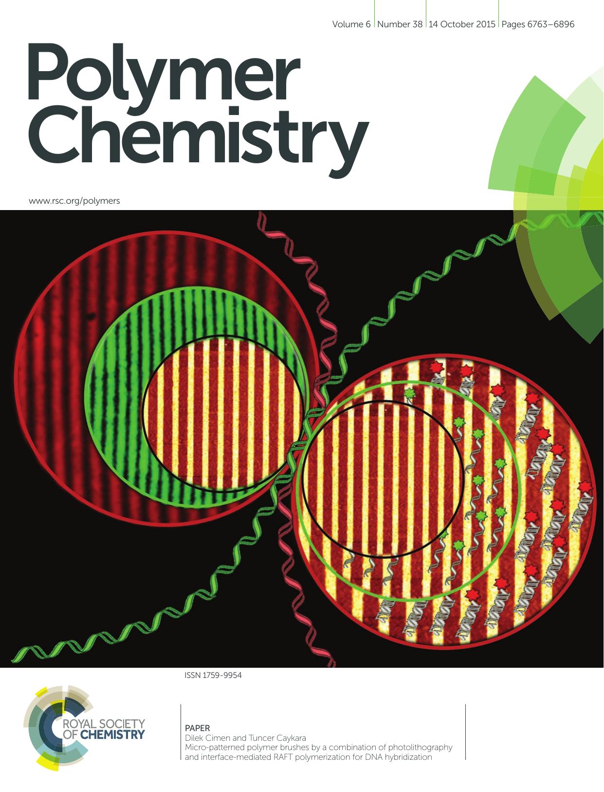 Micro-patterned polymer brushes by a combination of photolithography and interface-mediated RAFT polymerization for DNA hybridization by Dilek Cimen Tuncer Caykara