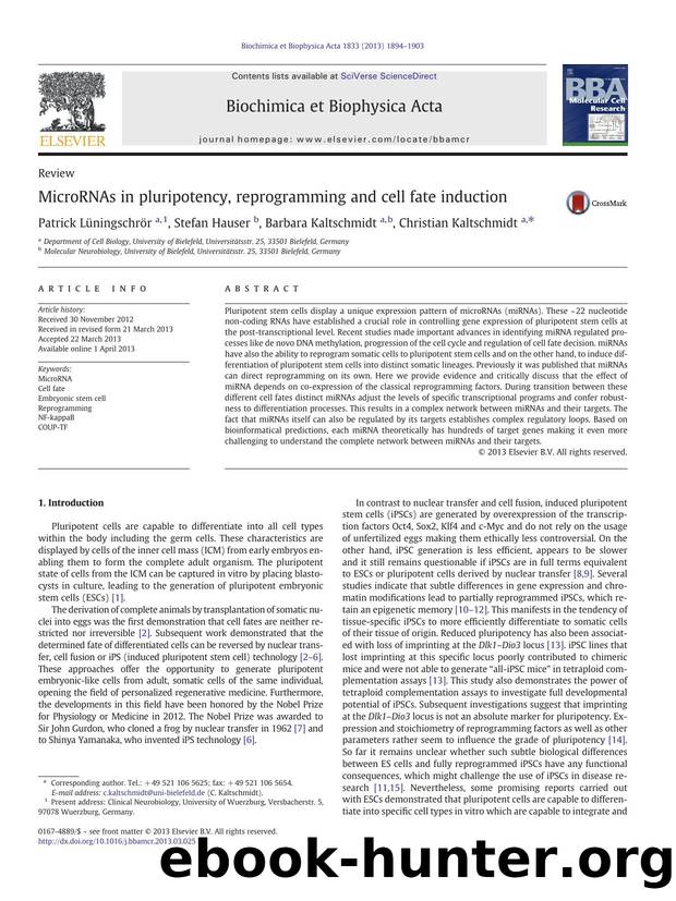 MicroRNAs in pluripotency, reprogramming and cell fate induction by Patrick Lüningschrör & Stefan Hauser & Barbara Kaltschmidt & Christian Kaltschmidt