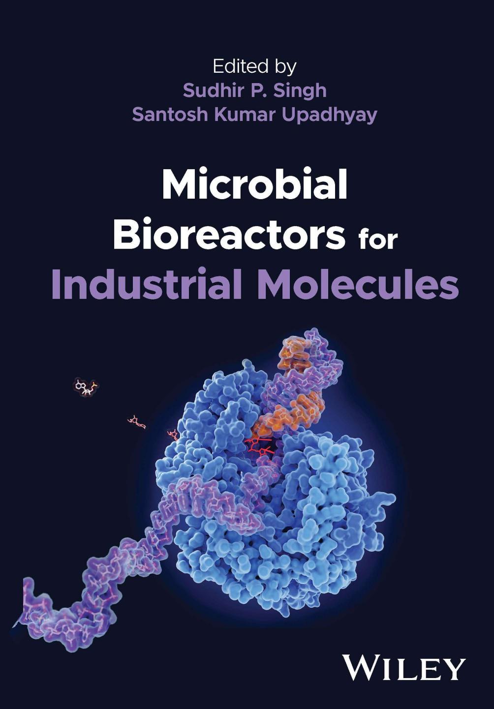 Microbial Bioreactors for Industrial Molecules by Sudhir P. Singh Santosh Kumar Upadhyay