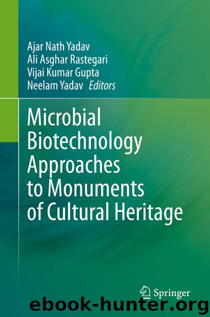 Microbial Biotechnology Approaches to Monuments of Cultural Heritage by Unknown