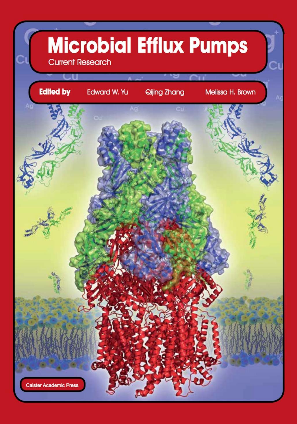 Microbial Efflux Pumps: Current Research by Edward W. Yu; Qijing Zhang; Melissa H. Brown
