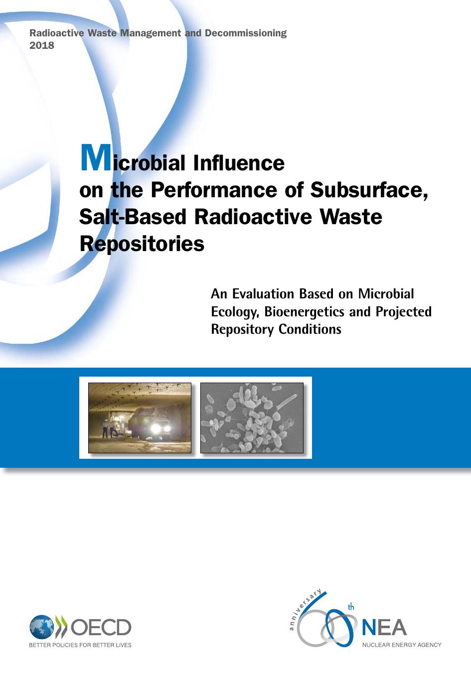 Microbial Influence on the Performance of Subsurface, Salt-Based Radioactive Waste Repositories : An Evaluation Based on Microbial Ecology, Bioenergetics and Projected Repository Conditions by coll