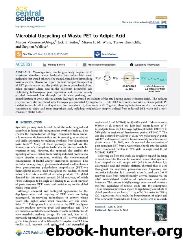 Microbial Upcycling of Waste PET to Adipic Acid by unknow