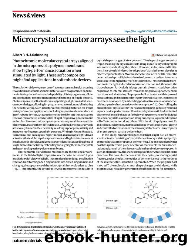 Microcrystal actuator arrays see the light by Albert P. H. J. Schenning